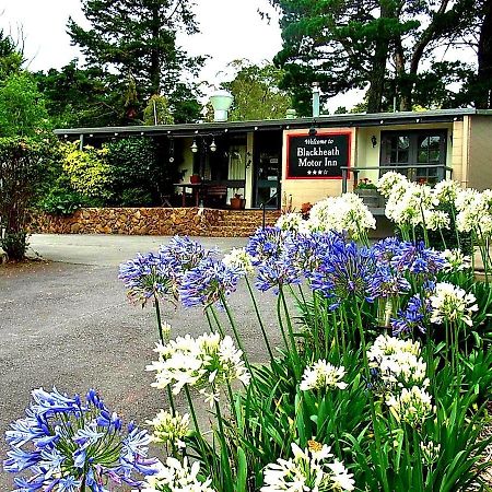 Blackheath Motor Inn Eksteriør billede