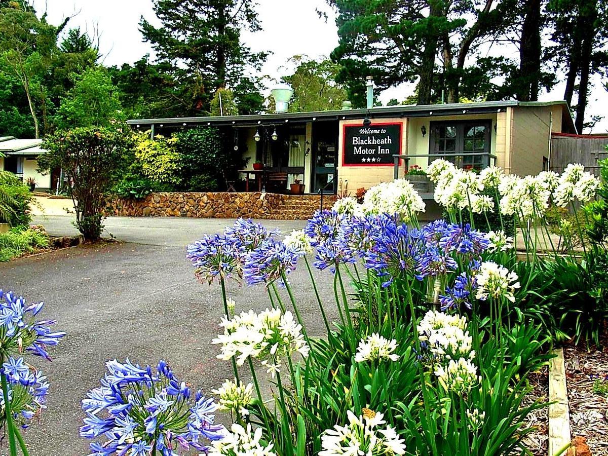 Blackheath Motor Inn Eksteriør billede